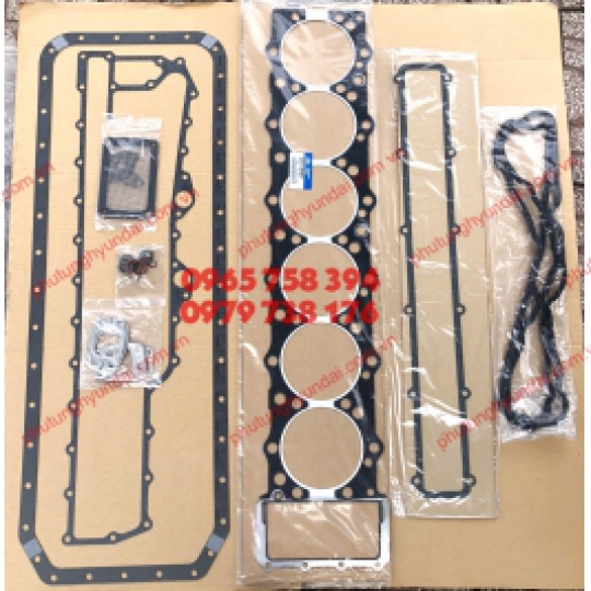 2091084A01 BỘ GIOĂNG ĐẠI TU D6CA MÁY 380