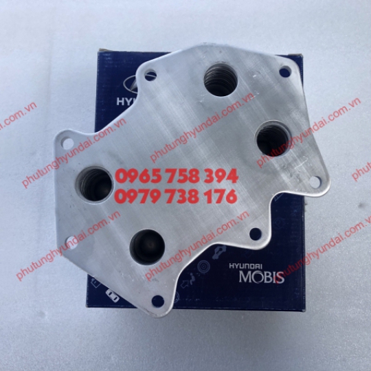 2642048000 KÉT LÀM MÁT NHỚT XE HYUNDAI COUNTY - MIGHTY D4GA